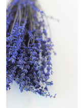 Preserved Lavender - Dark Blue Bunch, 55 cm