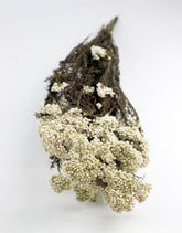 Preserved Rice Flowers - Bleached Bunch