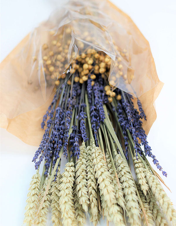 Dried Bouquet - Triticum, Lavender, Lino Vlas Selection, 60 cm